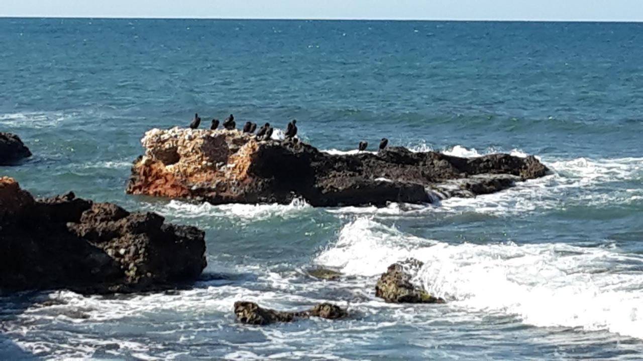 Cascadas de las Marinas magnifique appart 4 pers Dénia Exterior foto